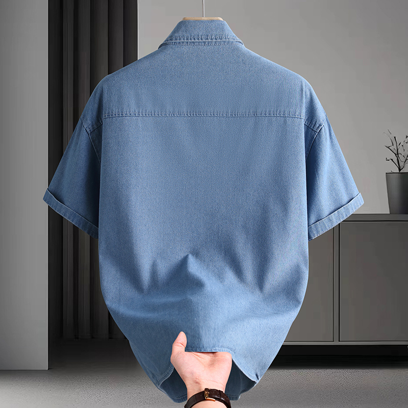 Denim overhemd voor heren, zom - Mens Fashion Denim recensie en prijs